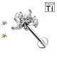 Piercing Labret in Titanio con foglio